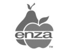 Enza Fruit