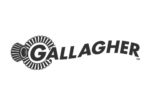 Gallagher Electronics