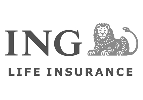 ING Insurance Peter J Thomson ING Insurance Peter J Thomson