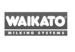 Waikato Milking