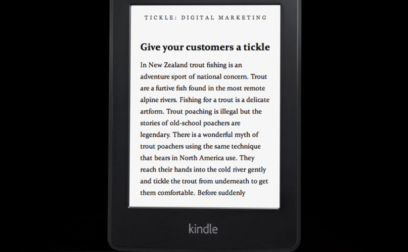 B2B Digital Marketing Book